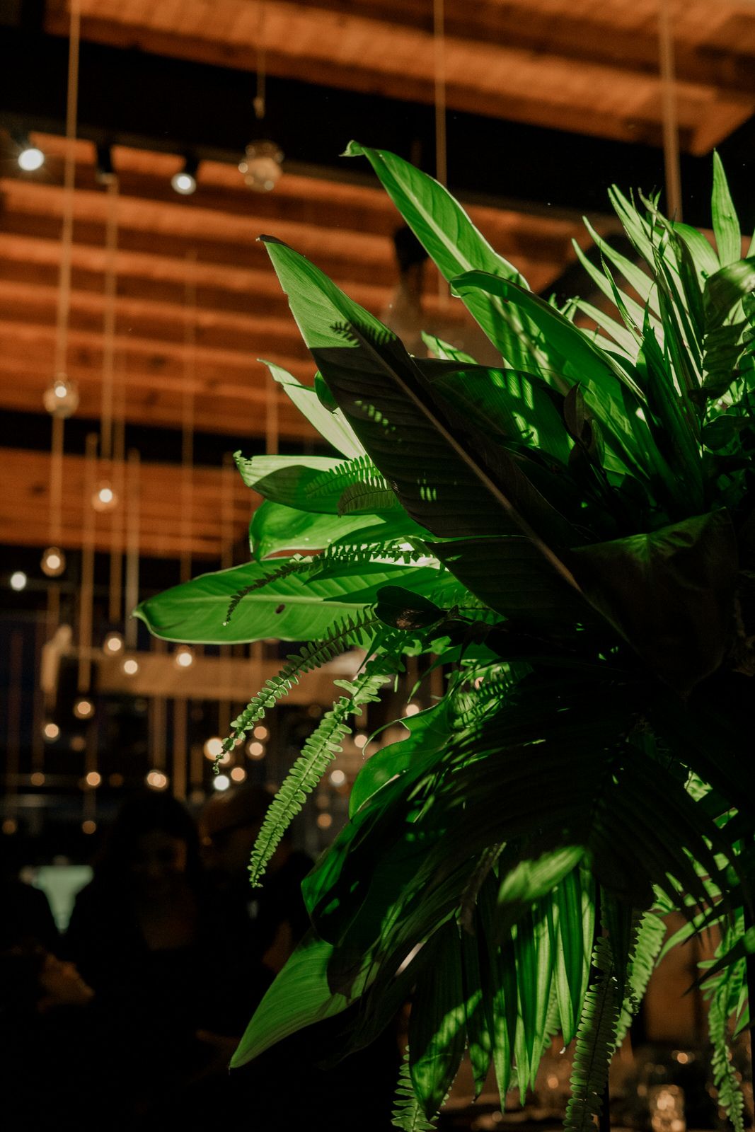 Tropical palm leaves and hanging lights create dramatic decor against a dark ceiling.