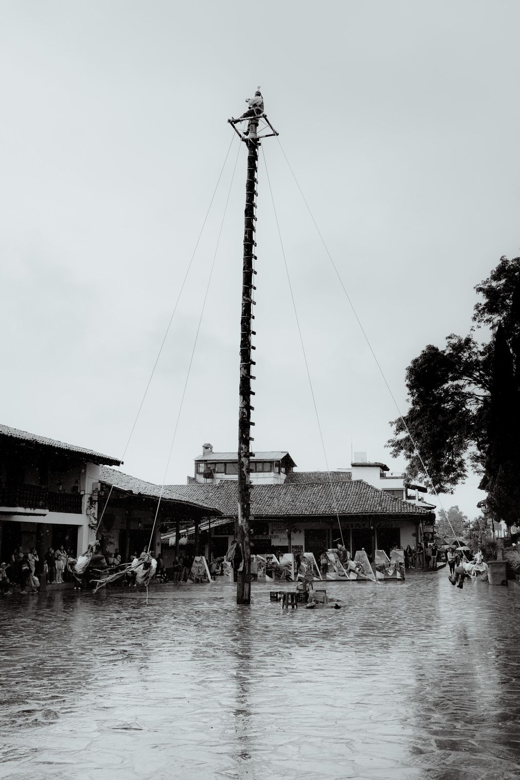 Historic black and white photo showing flood waters with people perched on utility poles.