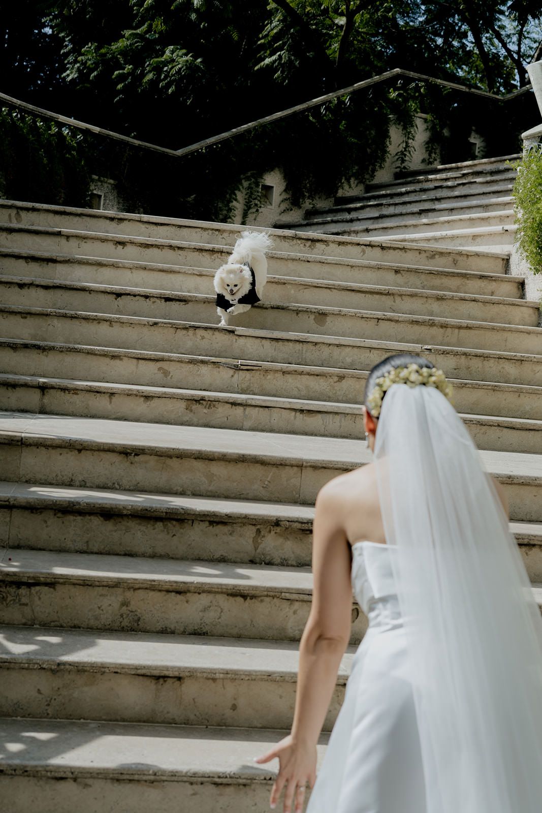 Bride in white gown and floral crown walks up stone steps toward groom in black suit outdoors.