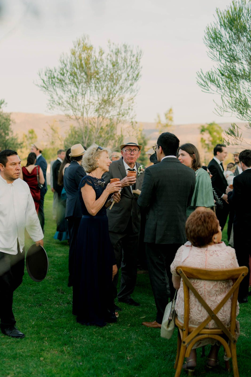 Wedding guests socializing on a lawn with mountains visible in background.