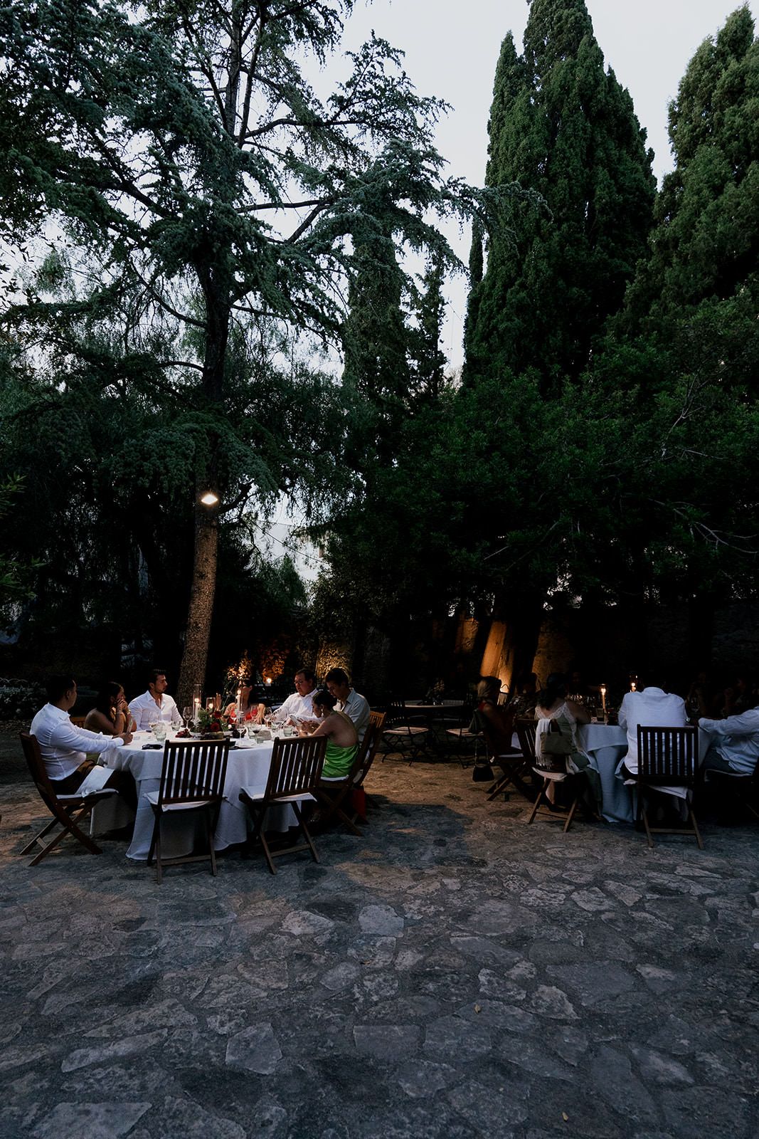 Outdoor dinner gathering with wooden benches and tables set among tall cypress trees at dusk.