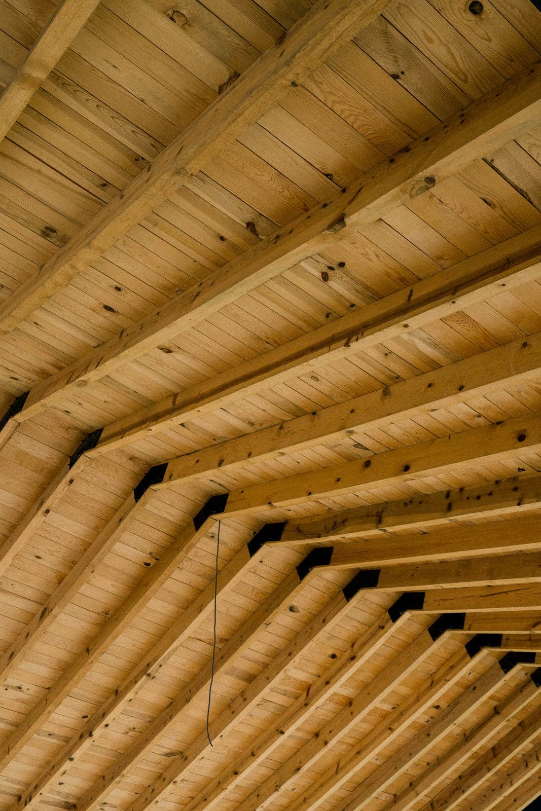 Close-up of wooden beam ceiling architecture at outdoor wedding venue.