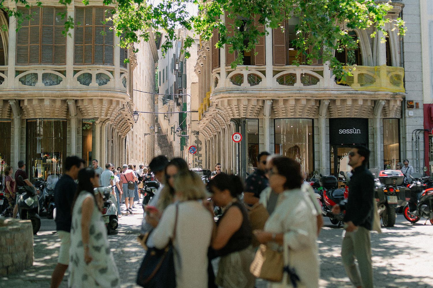 Tree-lined city street with historic buildings and people walking along shaded sidewalks on a sunny day.