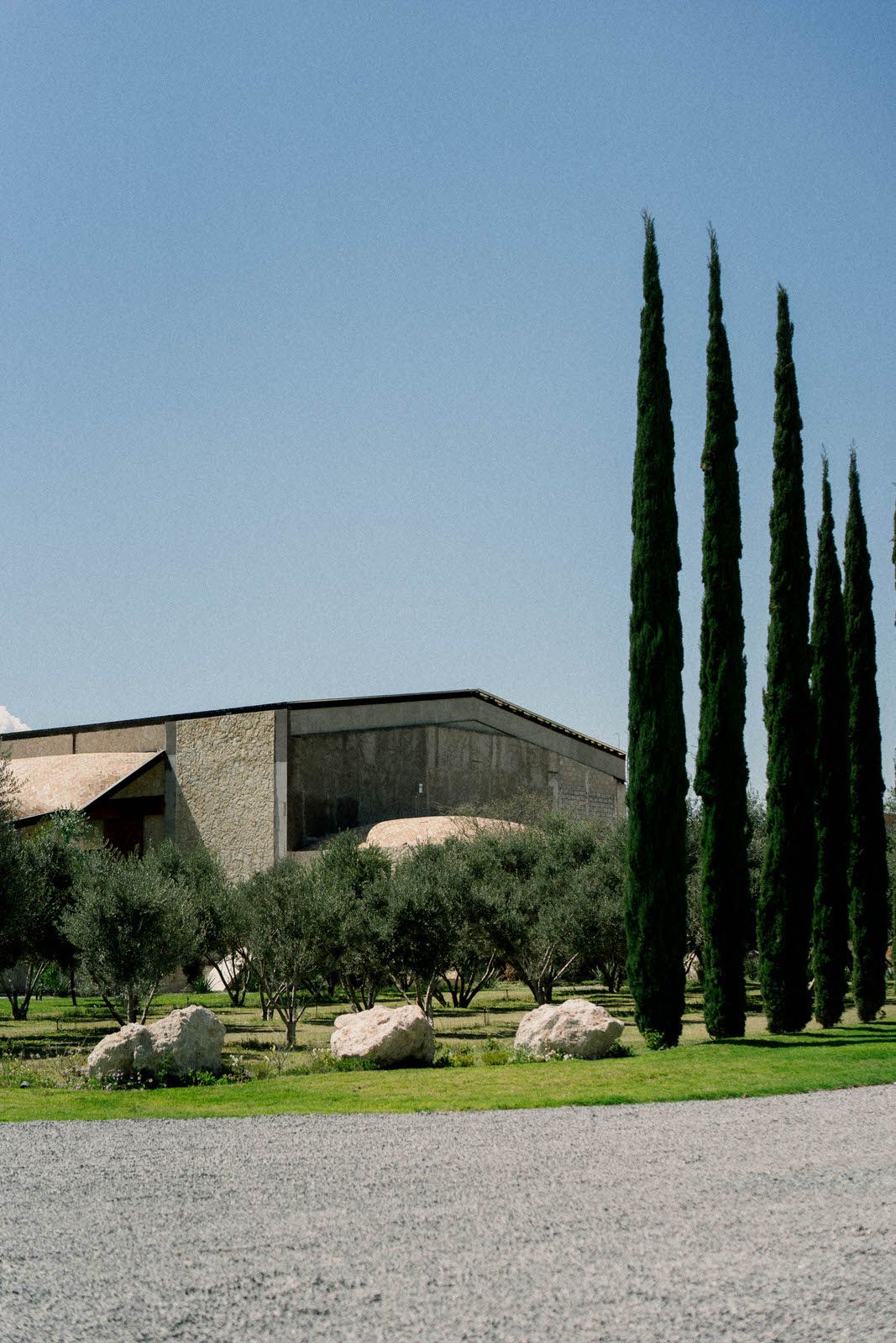 Modern building exterior with tall cypress trees and large rocks decorating a manicured lawn.