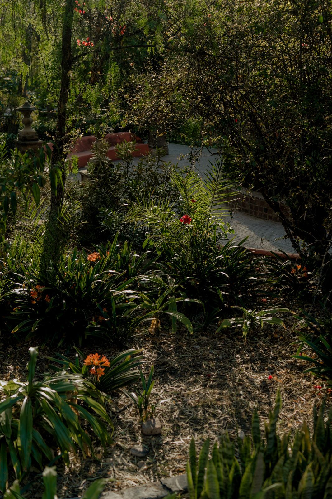 A winding garden path lined with lush greenery and colorful flowers in dappled sunlight.