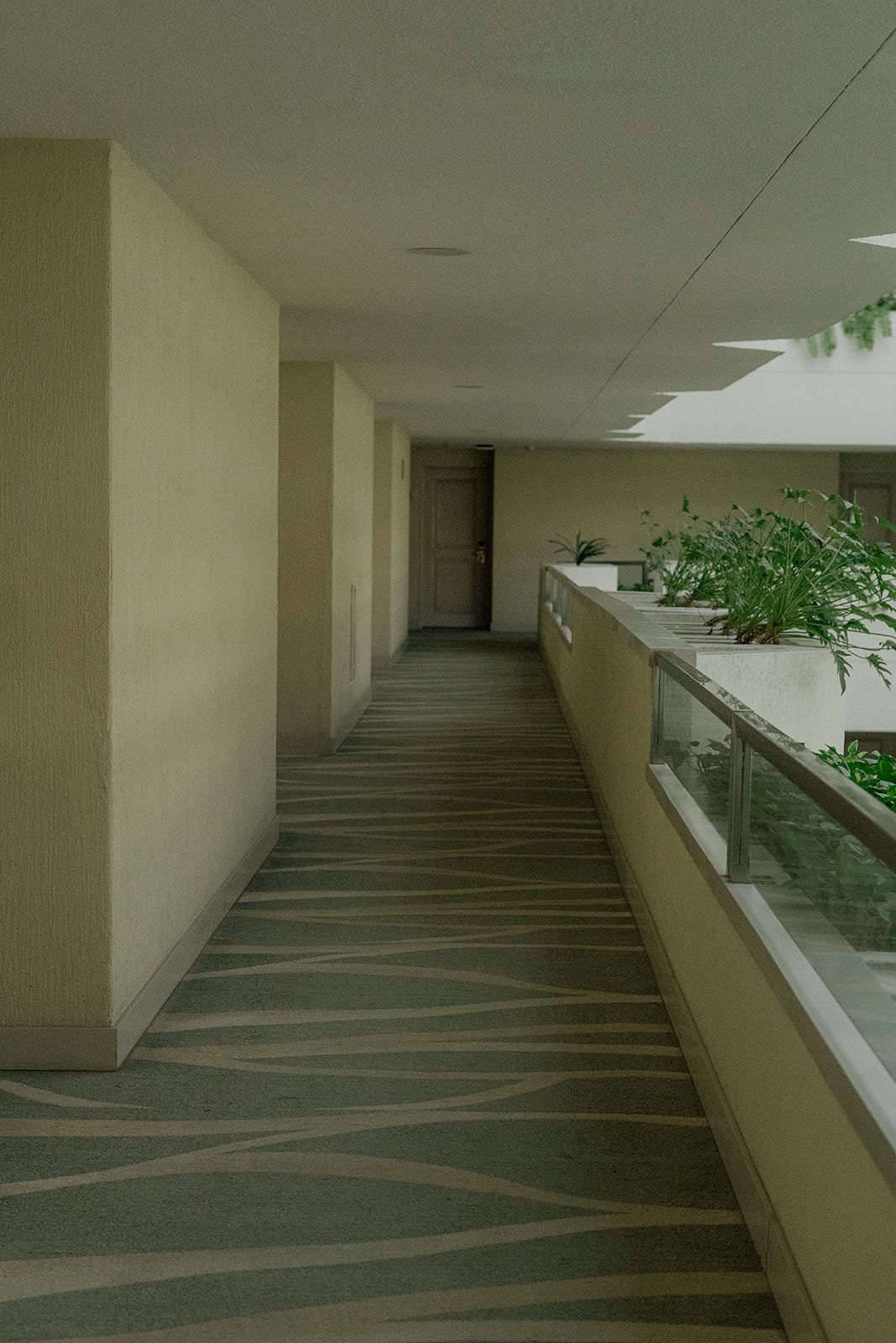 Long hotel corridor with patterned carpet, beige walls, and green potted plants along a glass railing.
