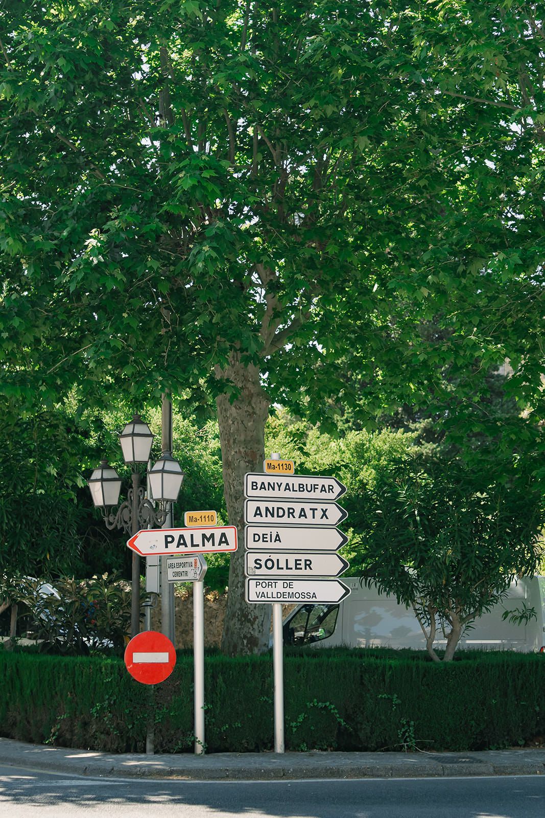 Street signs pointing to Palma and Soller destinations along a tree-lined road in Mallorca.