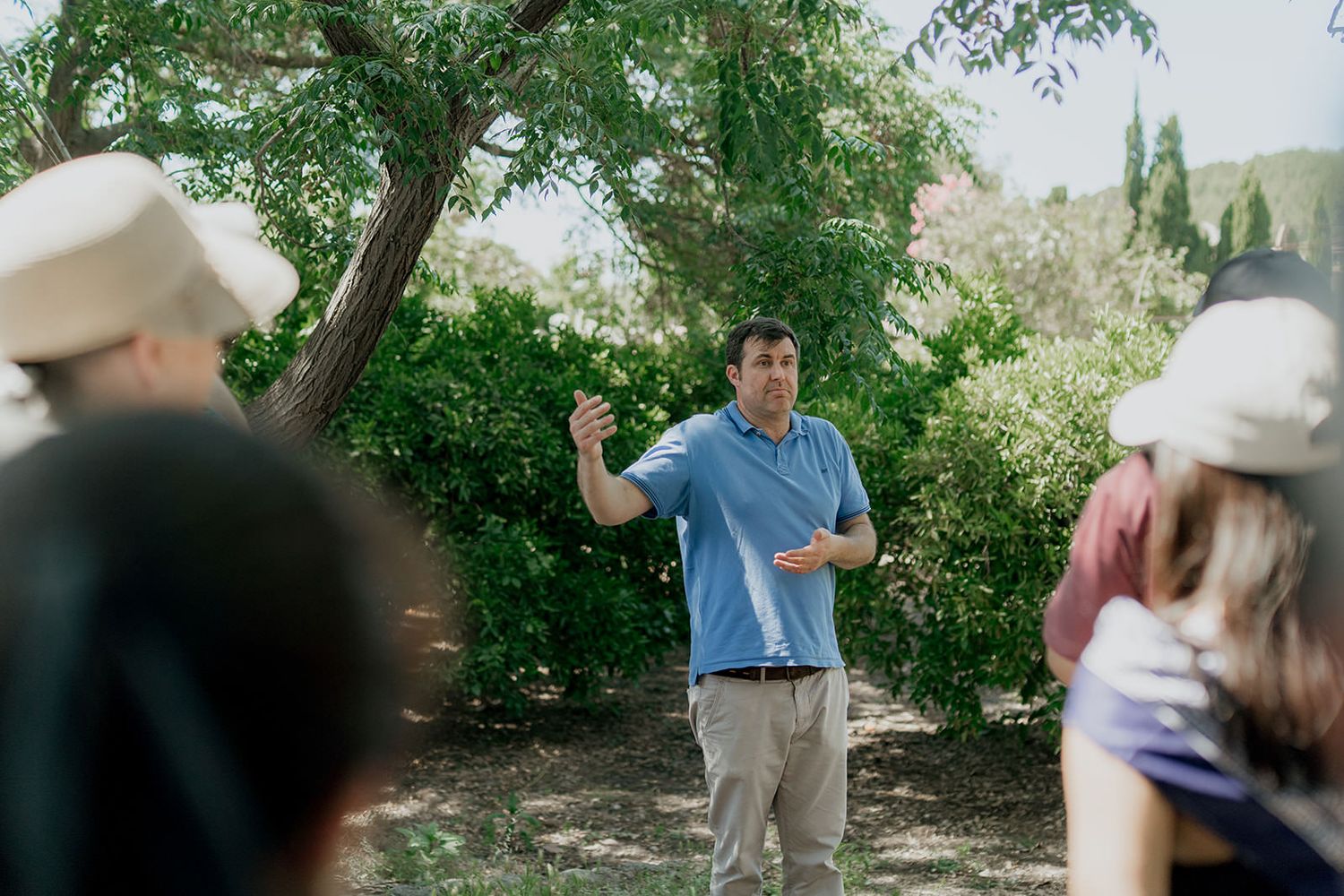 Outdoor gathering under shady trees on a sunny summer day.