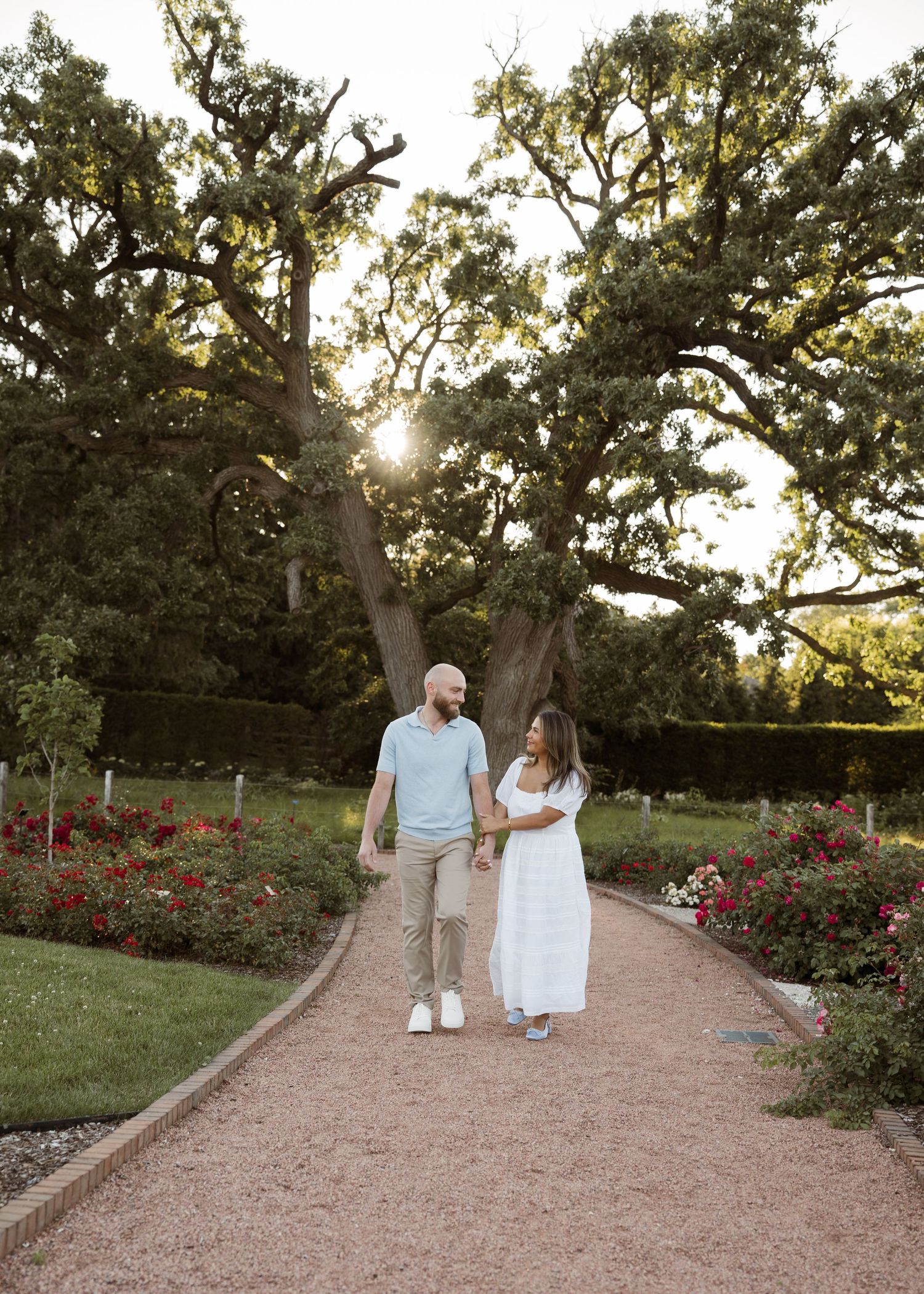 Couple walking hand-in-hand along a garden path lined with red roses beneath a large oak tree at golden hour.