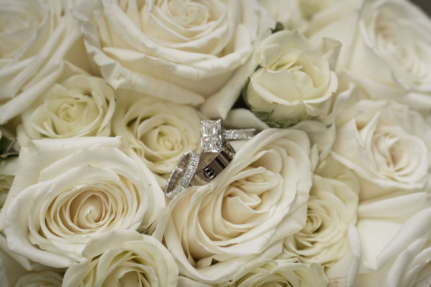 Diamond engagement ring and wedding band resting on a bouquet of white roses.