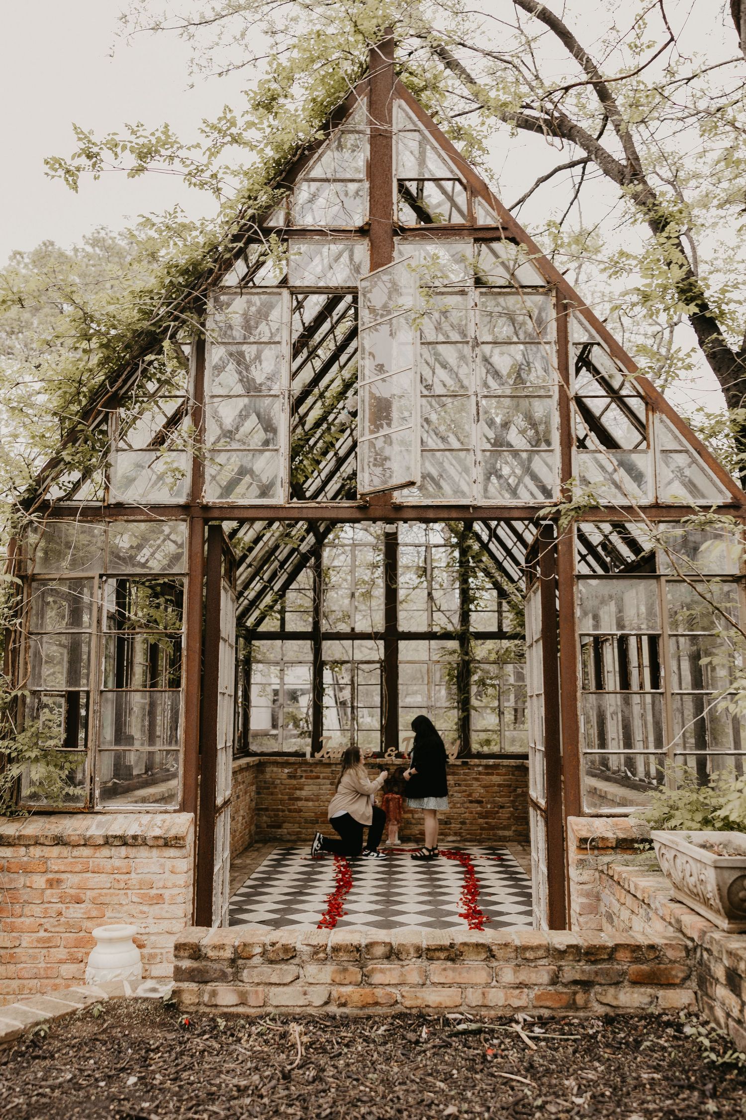 Same-sex couple during a proposal in a stunning glass greenhouse with rose petals.