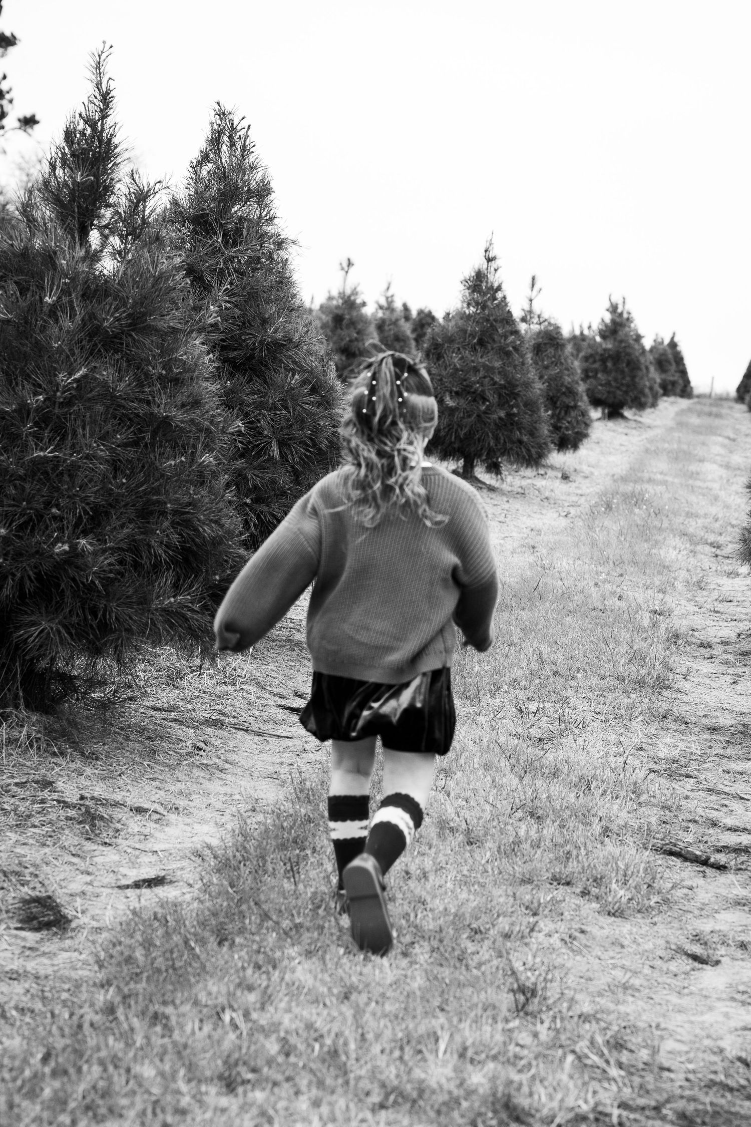 Black and white photo of young girl running along path between Christmas trees at tree farm.