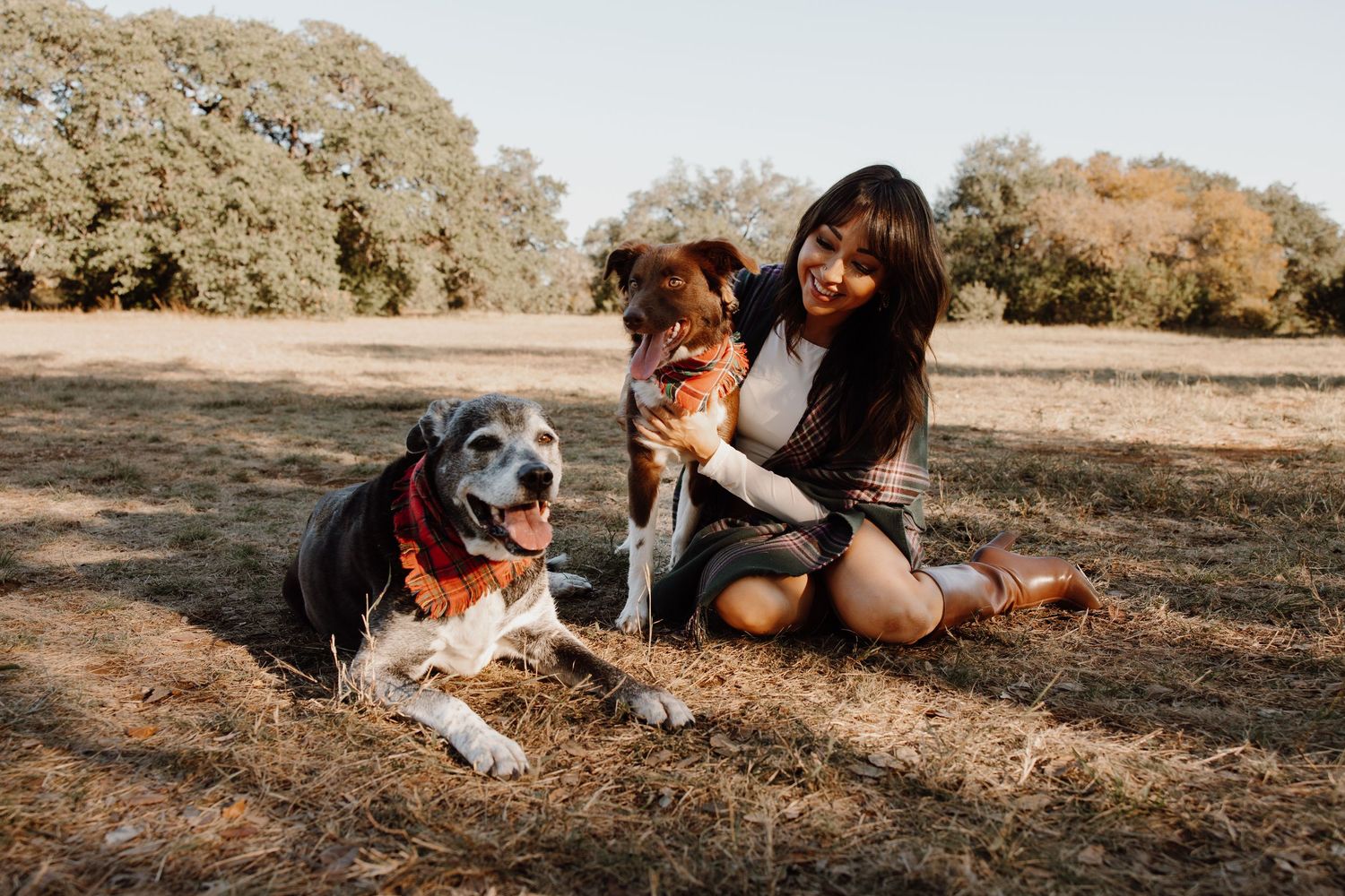 Young woman sitting on dry grass with two dogs on a sunny day in an open park.