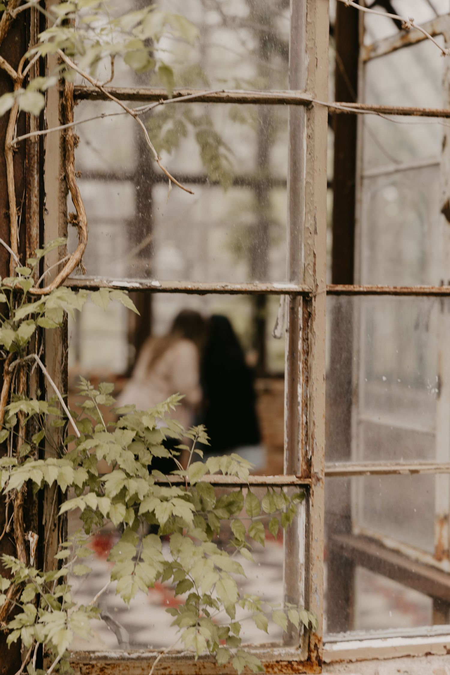Romantic couple kissing inside a rustic greenhouse viewed through a window.