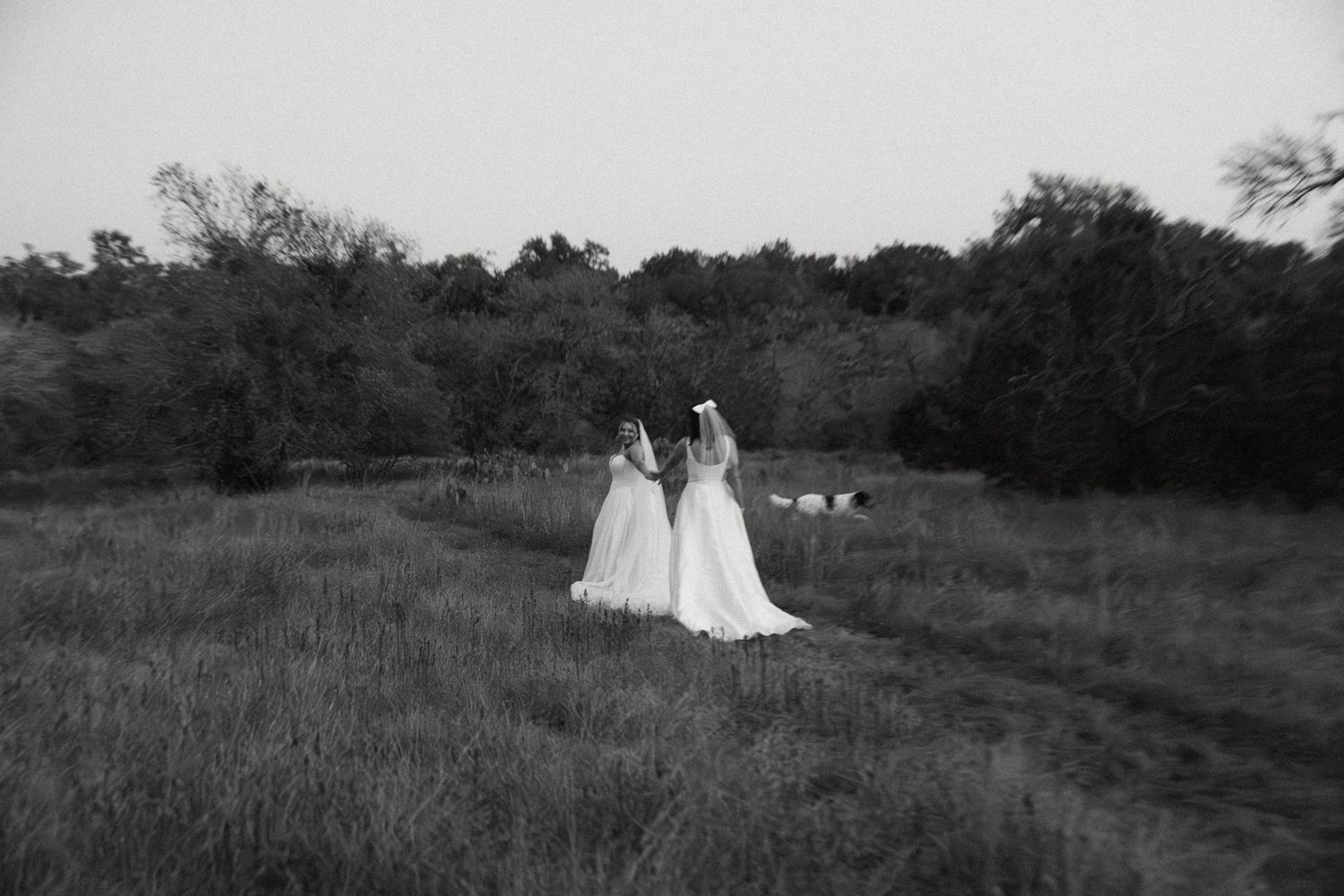 Black and white photo of two brides in white gowns walking hand in hand through a meadow.