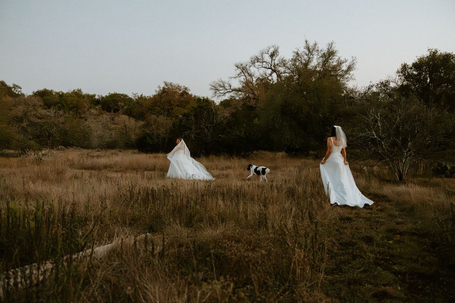 Two brides in white wedding dresses standing in rustic autumn field with dog at golden hour.