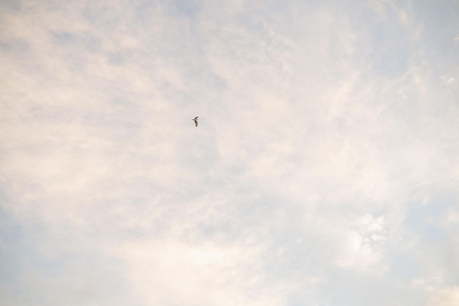 Soft white clouds spread across a tranquil blue sky in a minimalist composition.