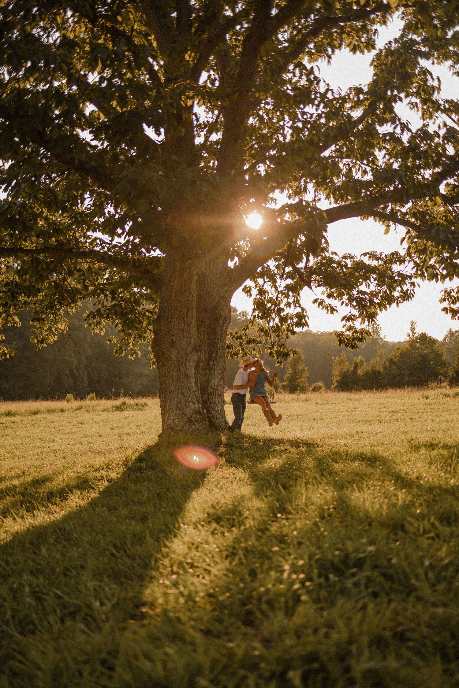 Golden sunlight streams through trees onto a grassy hillside during sunset, creating long dramatic shadows.