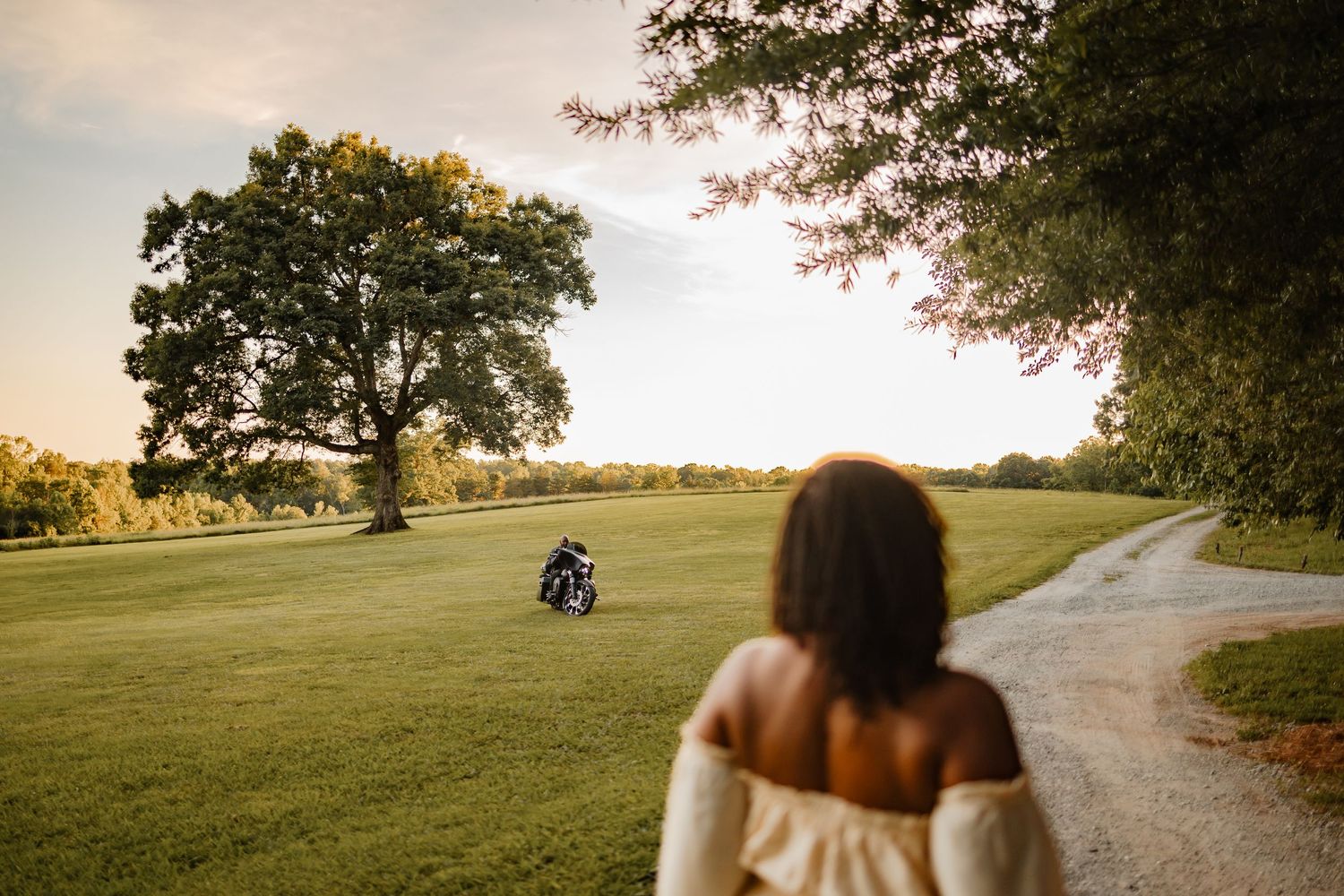 Golden sunset illuminates a winding path through a grassy field with trees.