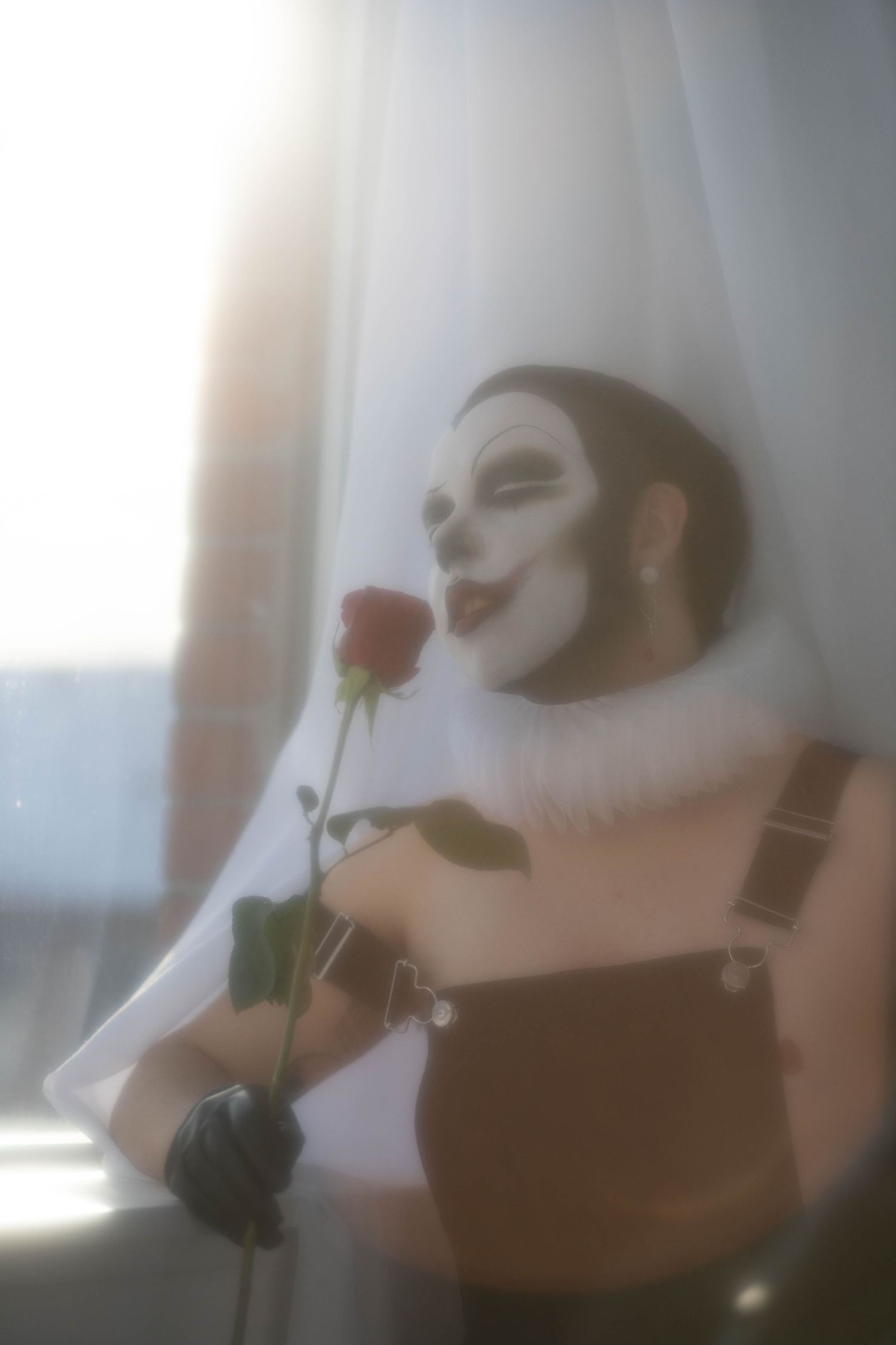 soft focus filter photography