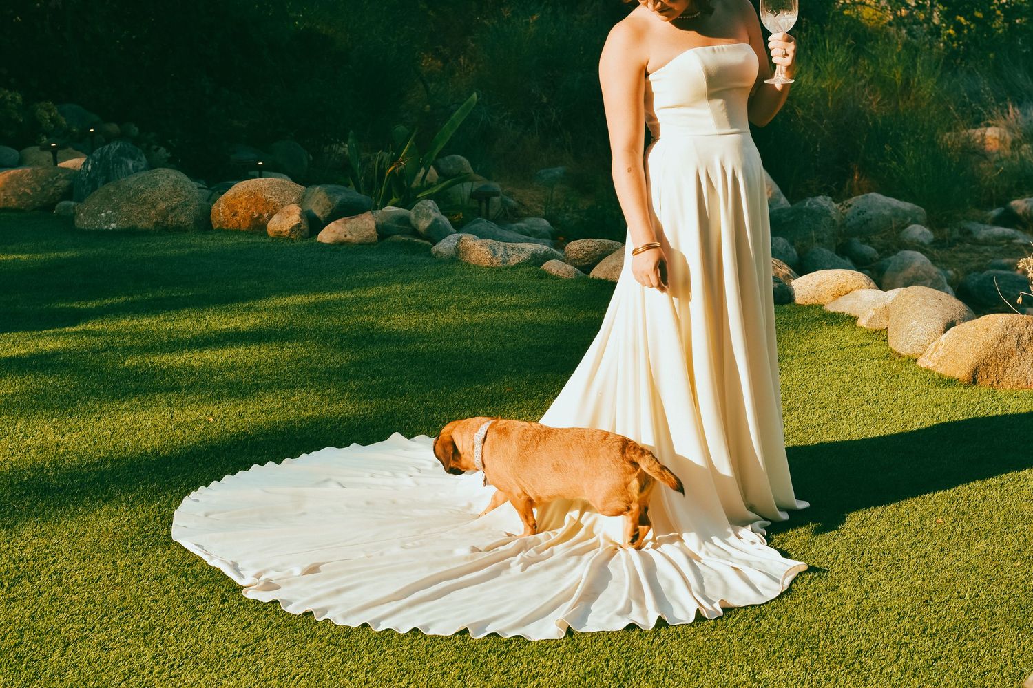 A newly married bride in front of a Sequoia Forest River with her dog