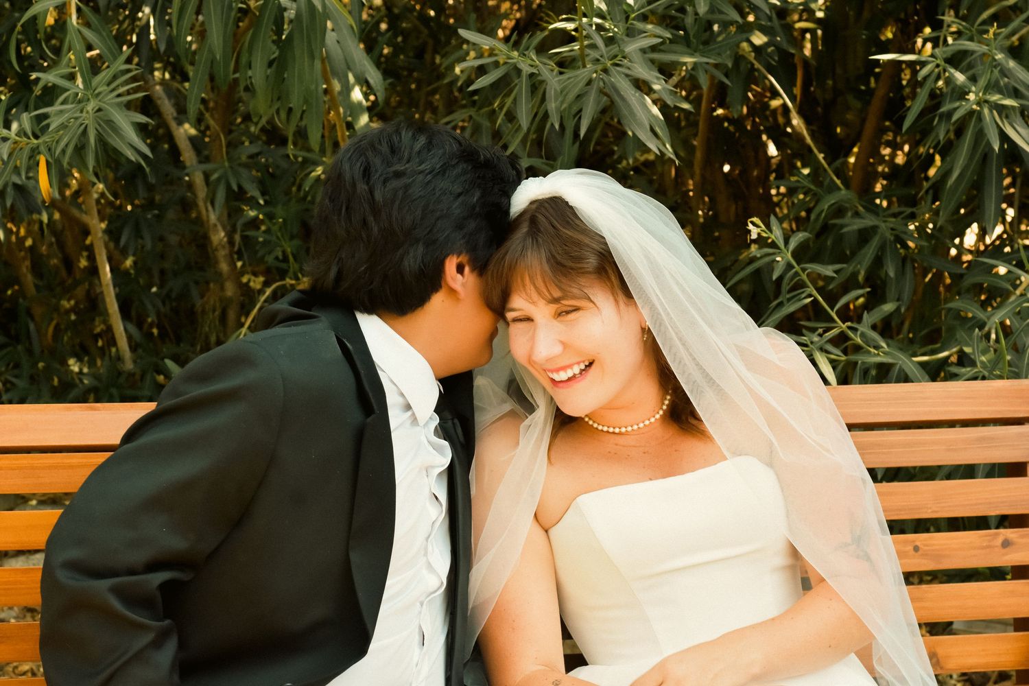 A newly married couple in a Sequoia Forest