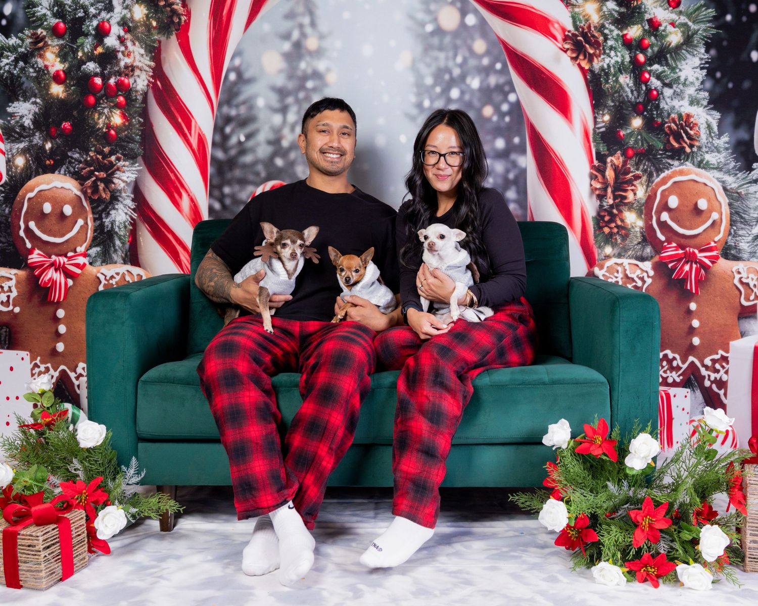 Couple in matching red plaid pajamas sitting on green couch holding Chihuahuas in front of Christmas holiday backdrop.