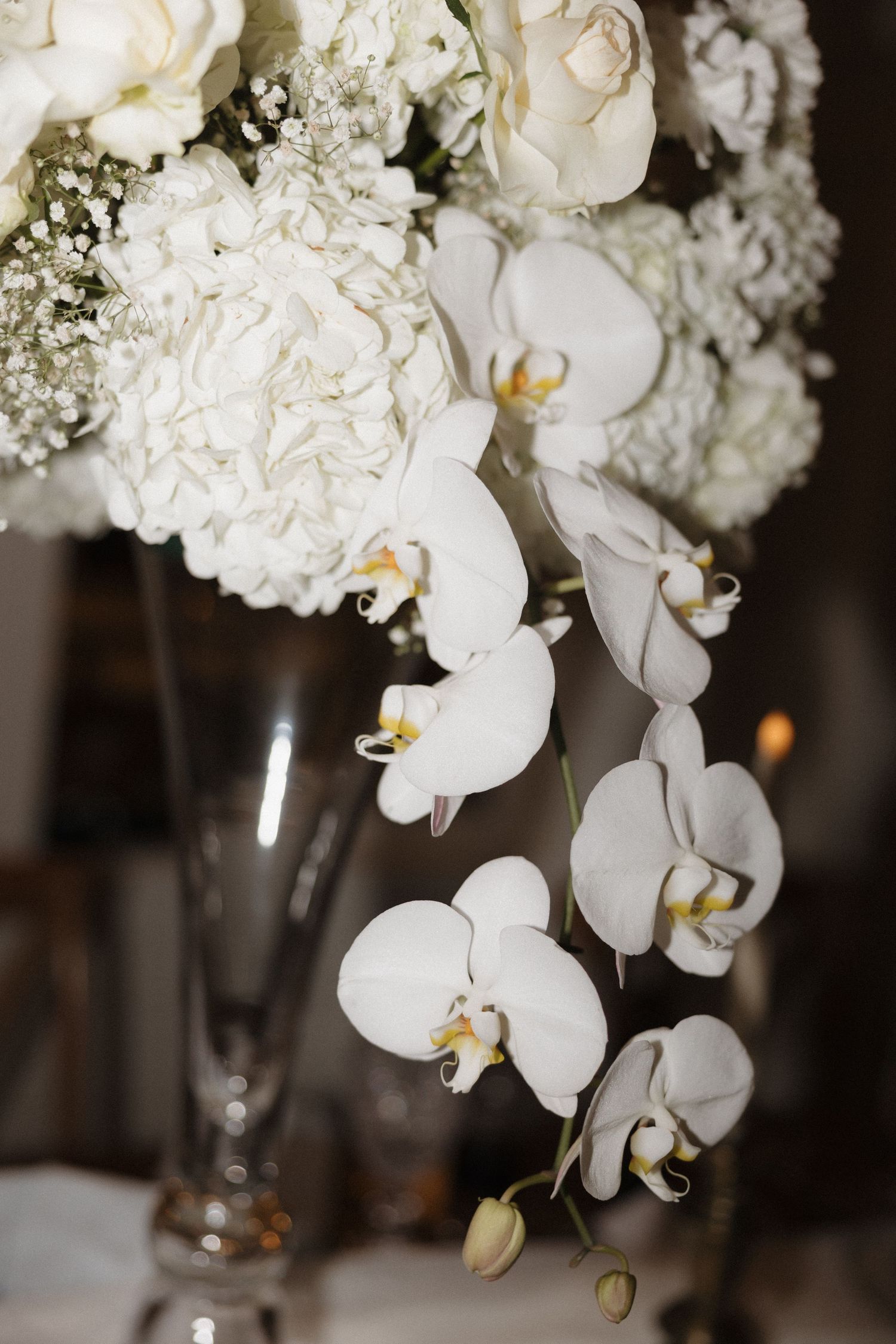 Elegant white orchids and hydrangeas in a wedding centerpiece arrangement against a dark background.