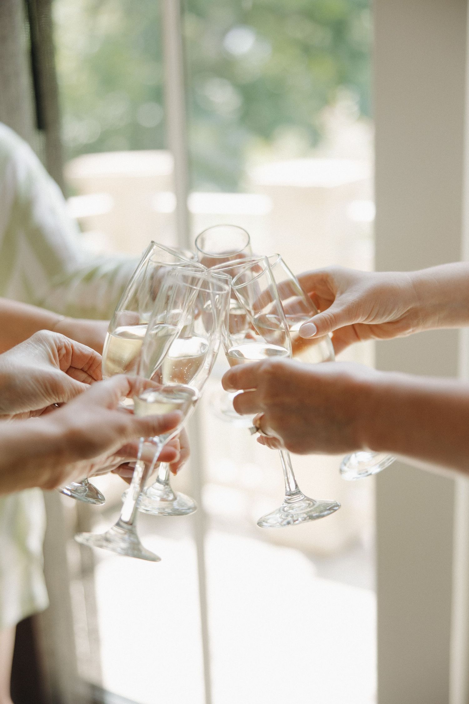 Multiple hands raise champagne glasses in a celebratory toast against a bright, sunlit window background.