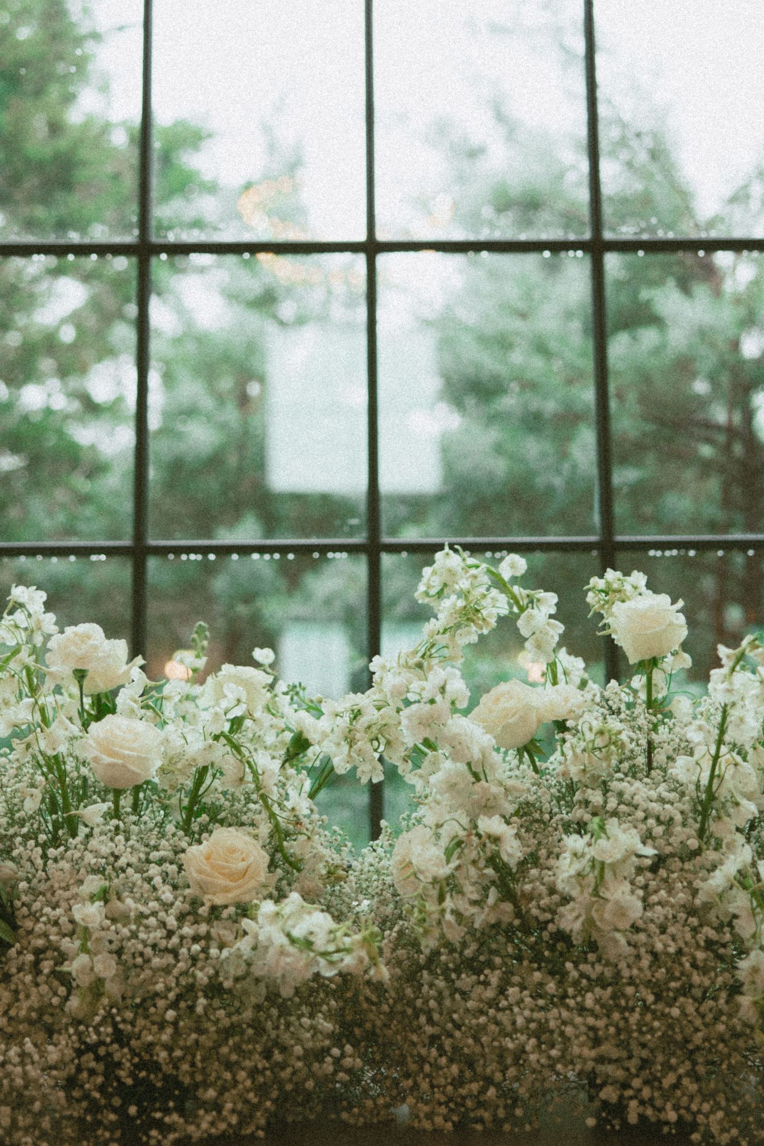 Delicate white roses and baby's breath flowers arranged along a windowsill with natural light streaming through glass panes.