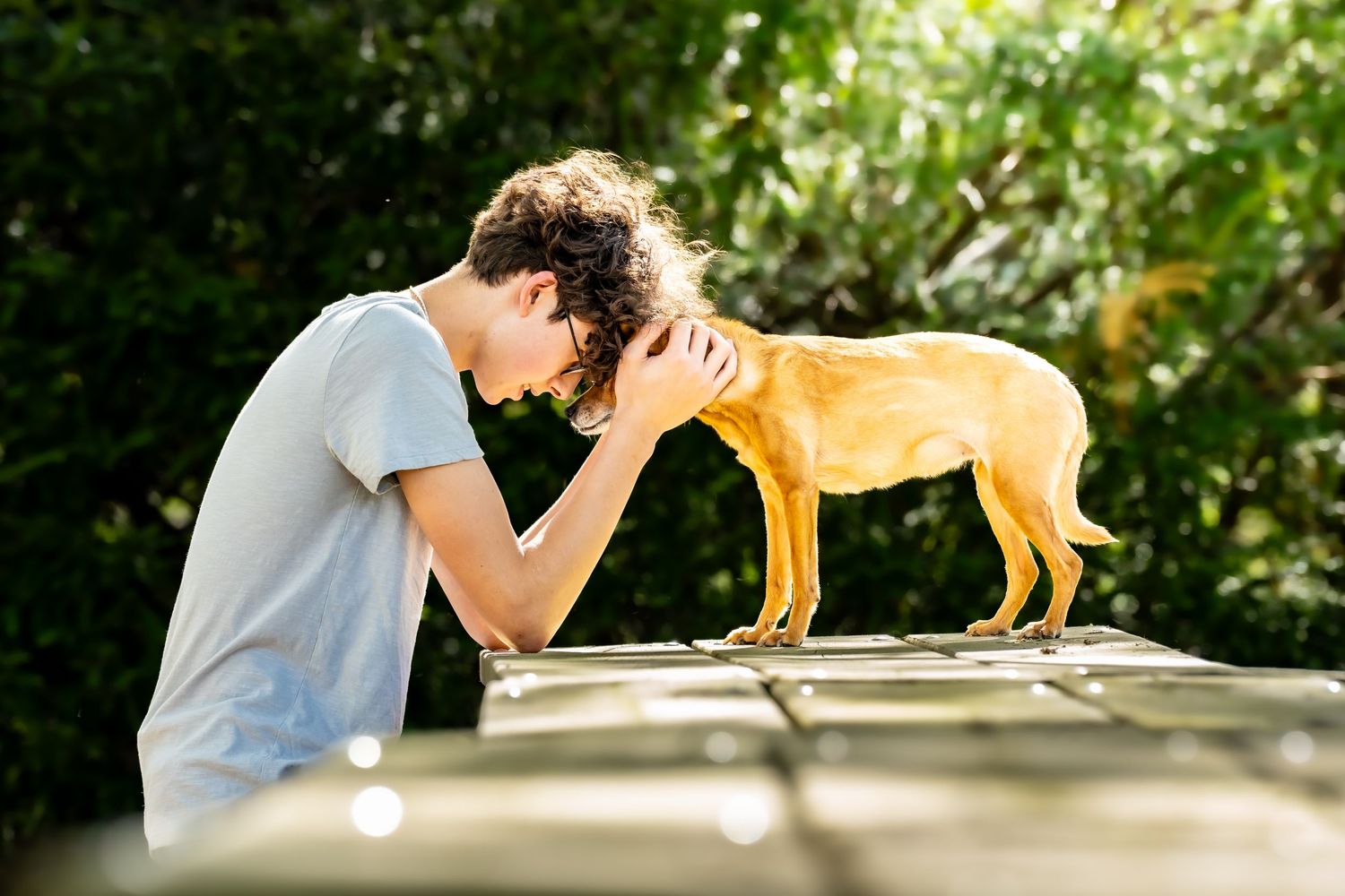 Teenage boy touching foreheads with a yellow dog standing on an outdoor table.