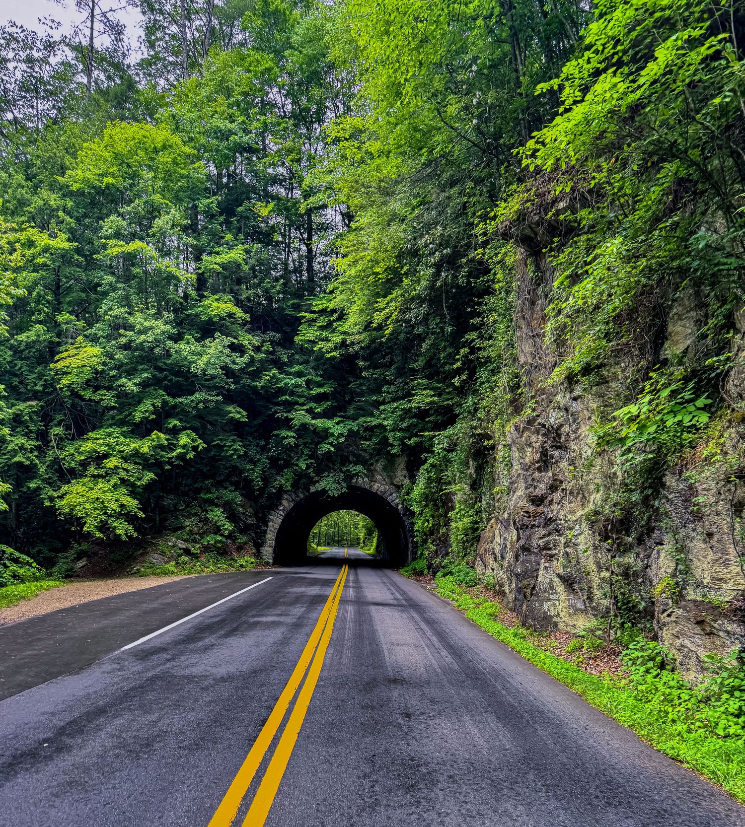 Two-lane road leading into a stone tunnel arch carved into a rocky cliff surrounded by dense green forest.