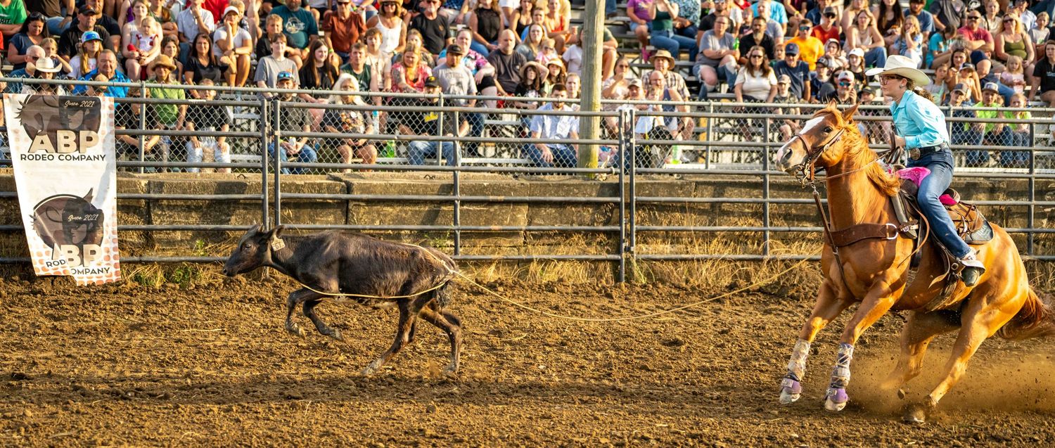 Cowboy on palomino horse chasing a calf at a rodeo event with crowd watching in the background.