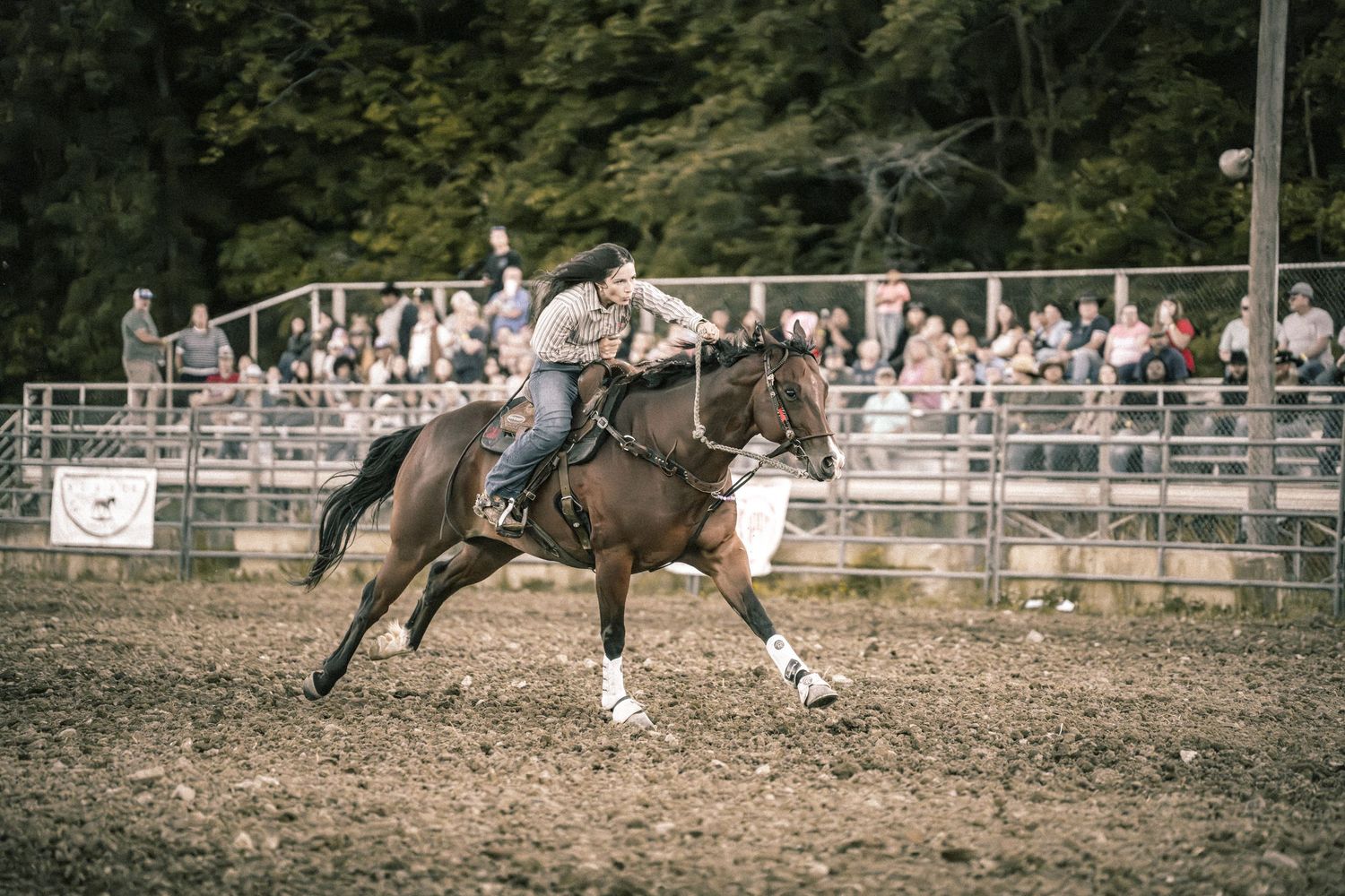 A rider gallops a brown horse at full speed around the arena during a rodeo barrel racing competition.