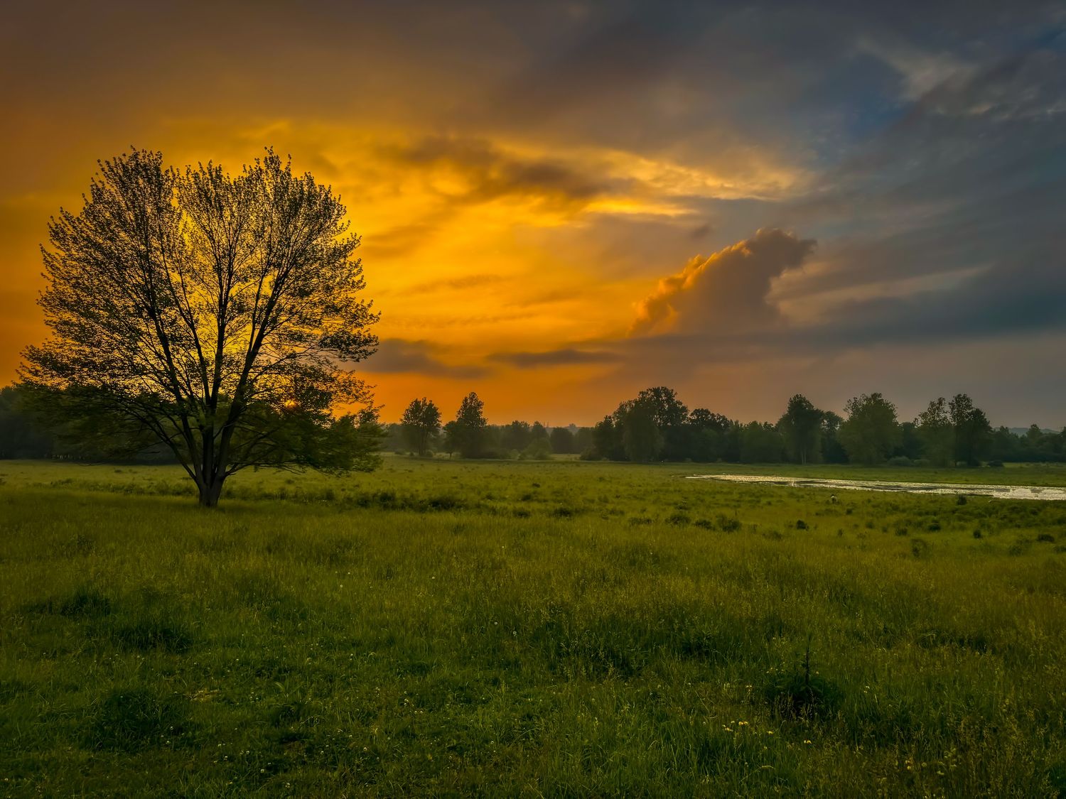 A lone tree stands in a lush green meadow beneath a dramatic golden sunset sky with dark storm clouds.