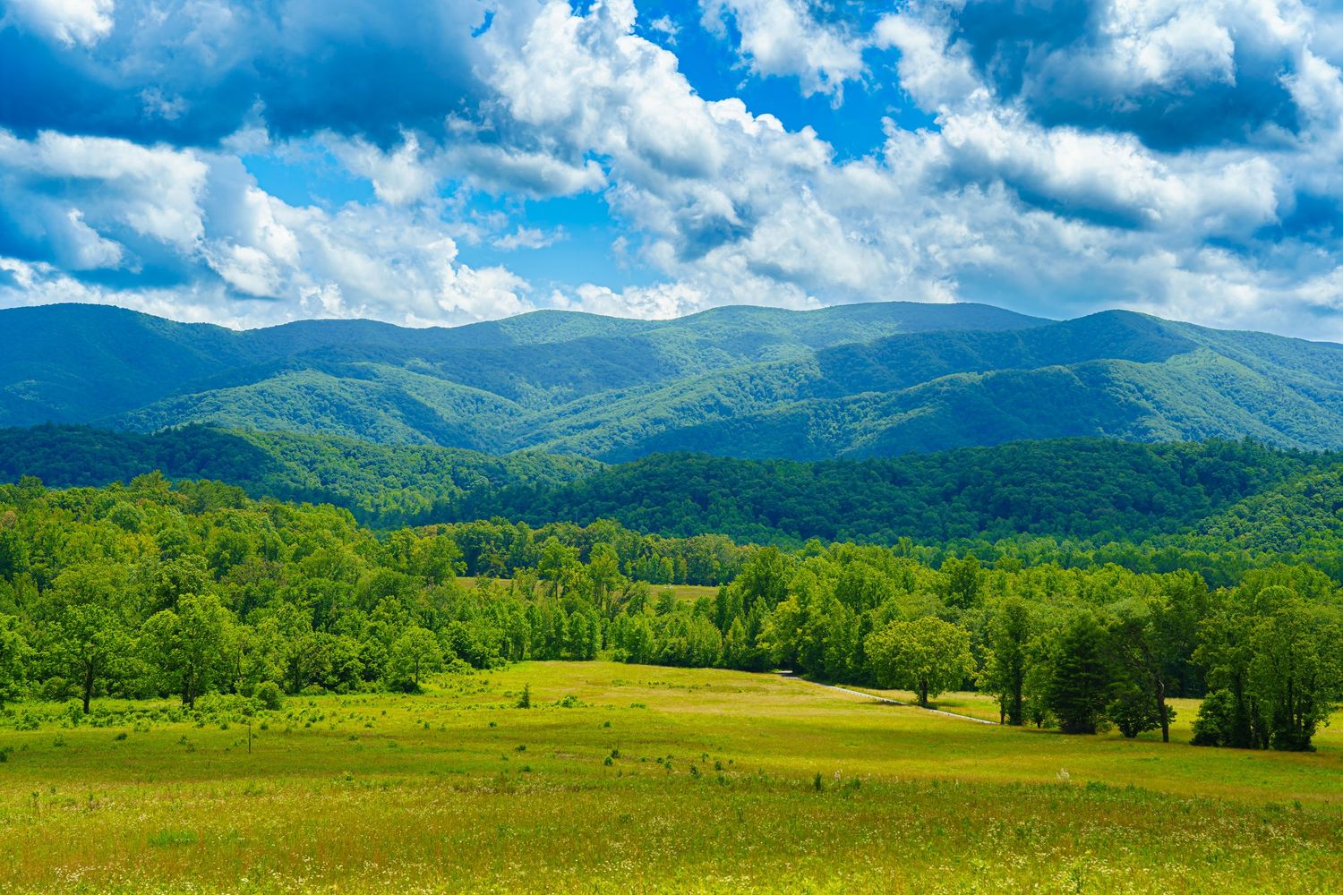 Panoramic view of green rolling mountains under a blue cloudy sky.