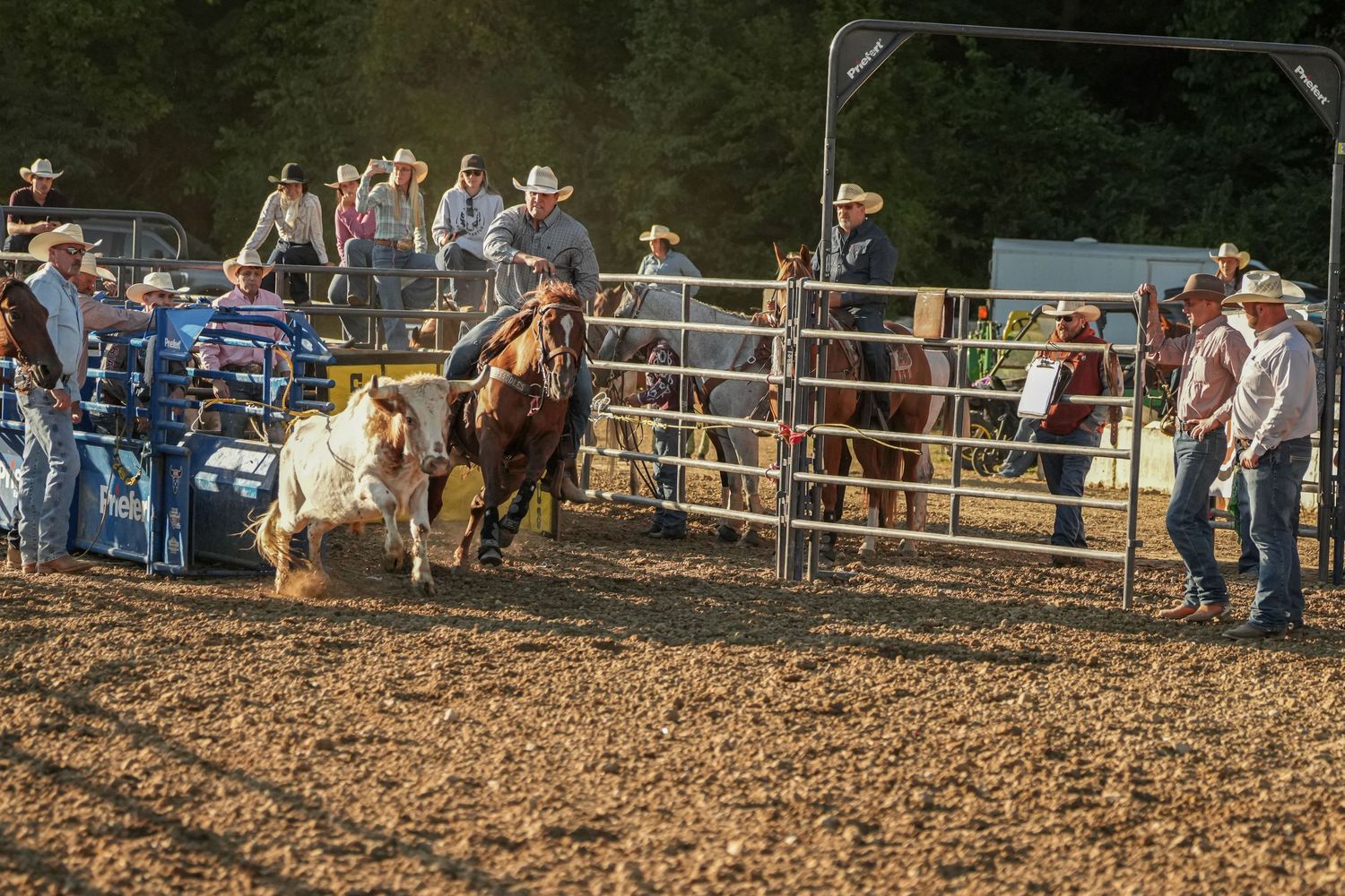 A bull rider bursts from the gate at an outdoor rodeo while cowboys and spectators watch nearby.