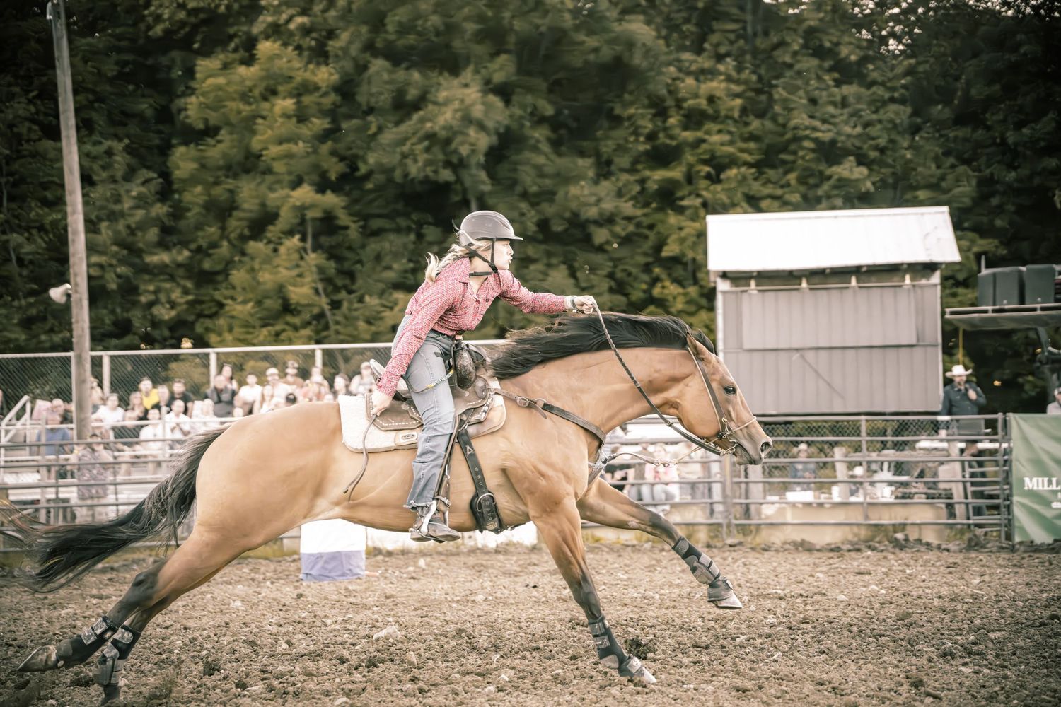 Female rider in pink shirt guides a palomino horse around a barrel in a rodeo arena.