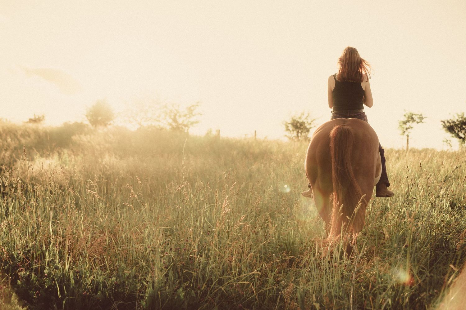 Woman riding a horse through a golden sunlit meadow with tall grass and trees in the warm glowing light.