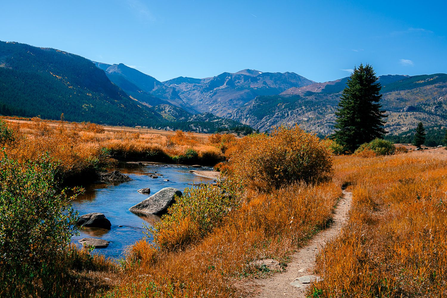 Scenic mountain stream flows through golden autumn meadow with rocky peaks and evergreen trees under clear blue sky.