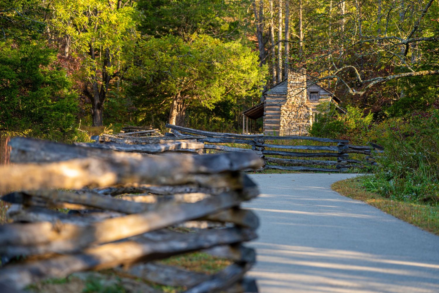 Rustic split-rail fence lining a winding path leading to a historic stone cabin in autumn woods.