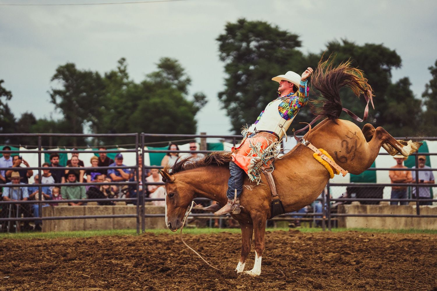 A cowboy rides a bucking bronco at a rodeo competition, with spectators watching from behind a fence.
