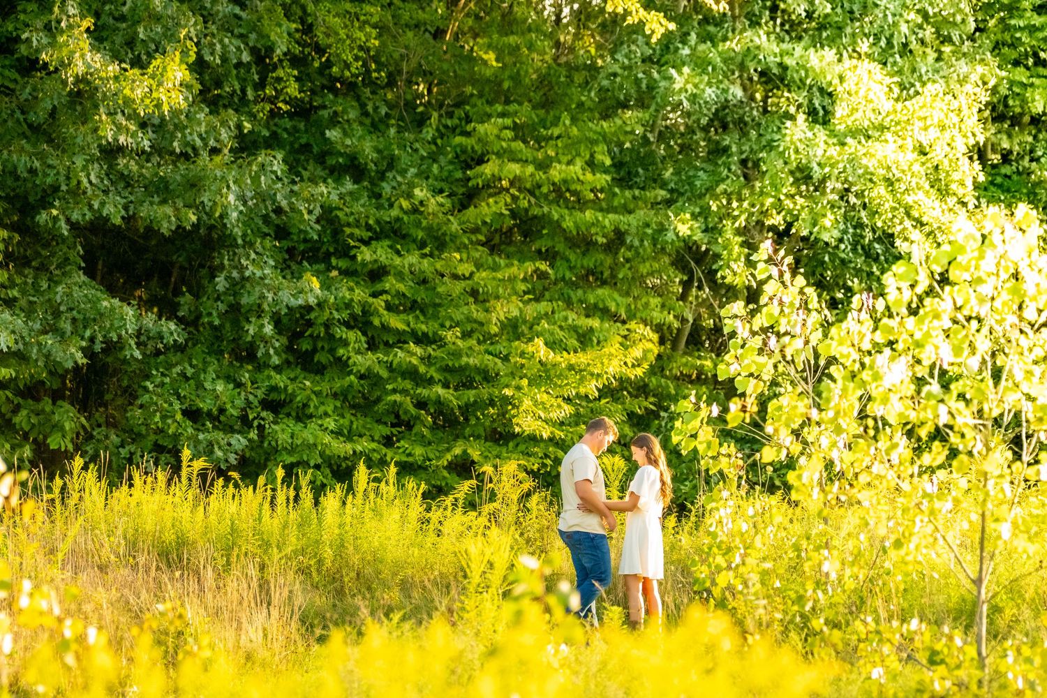 Couple holding hands in a sunny meadow surrounded by lush green trees during golden hour.