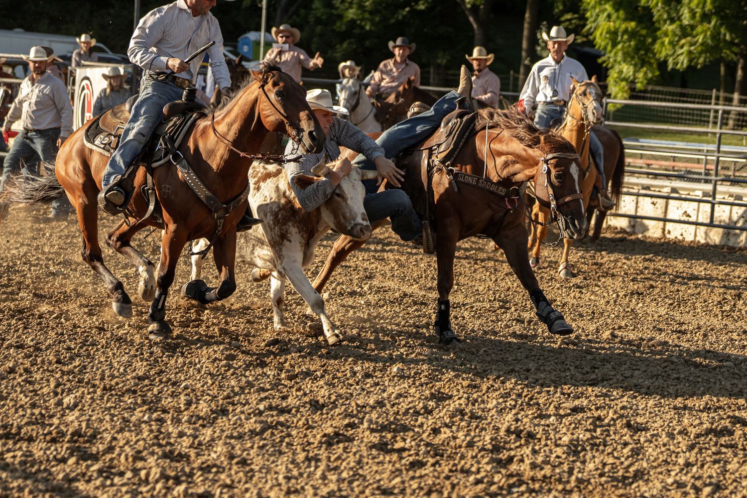 Two cowboys on horseback work together to wrestle a steer to the ground at a sunny outdoor rodeo.
