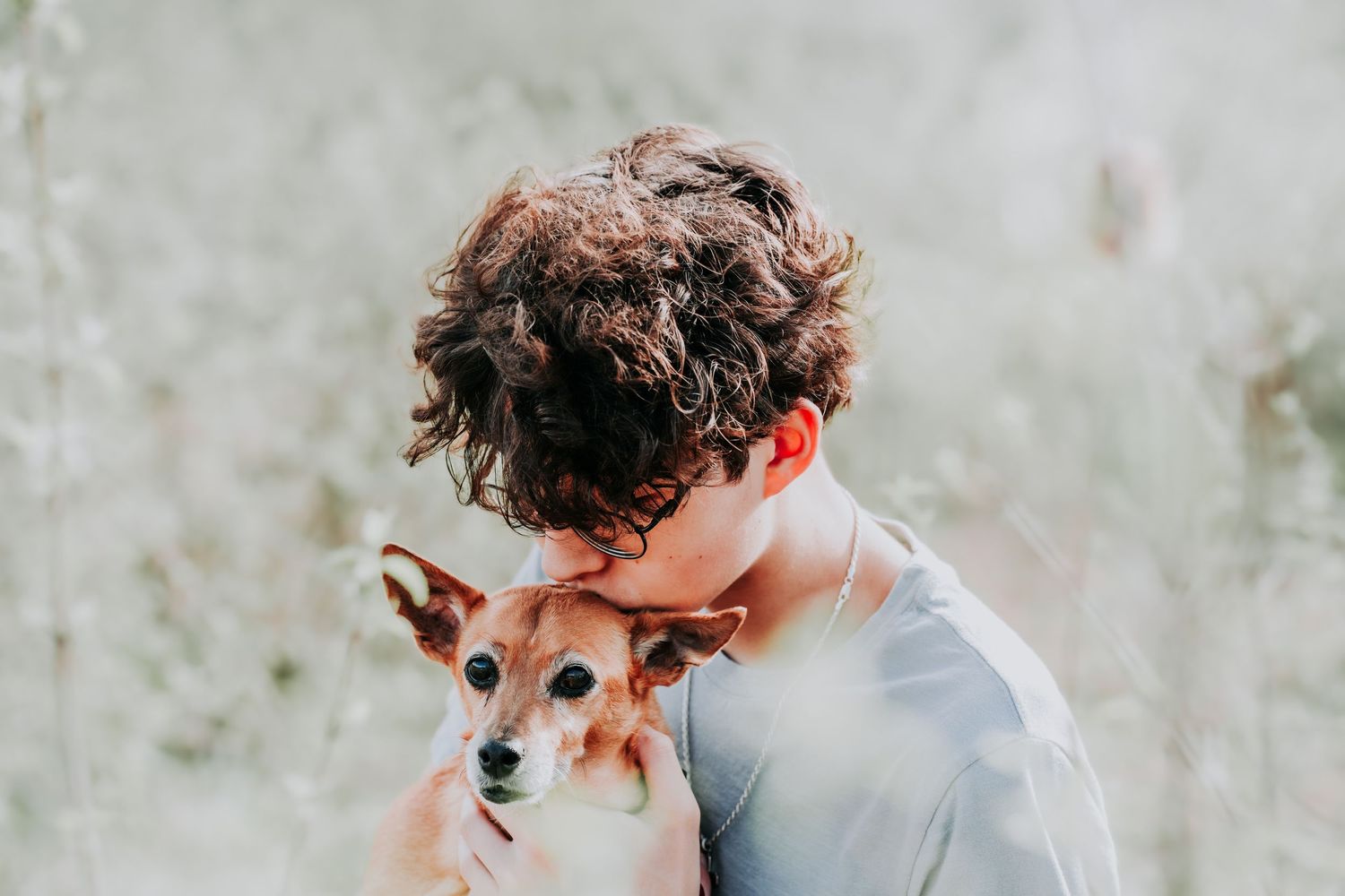 A curly-haired boy tenderly kisses a small brown Chihuahua dog against a soft blurred background.