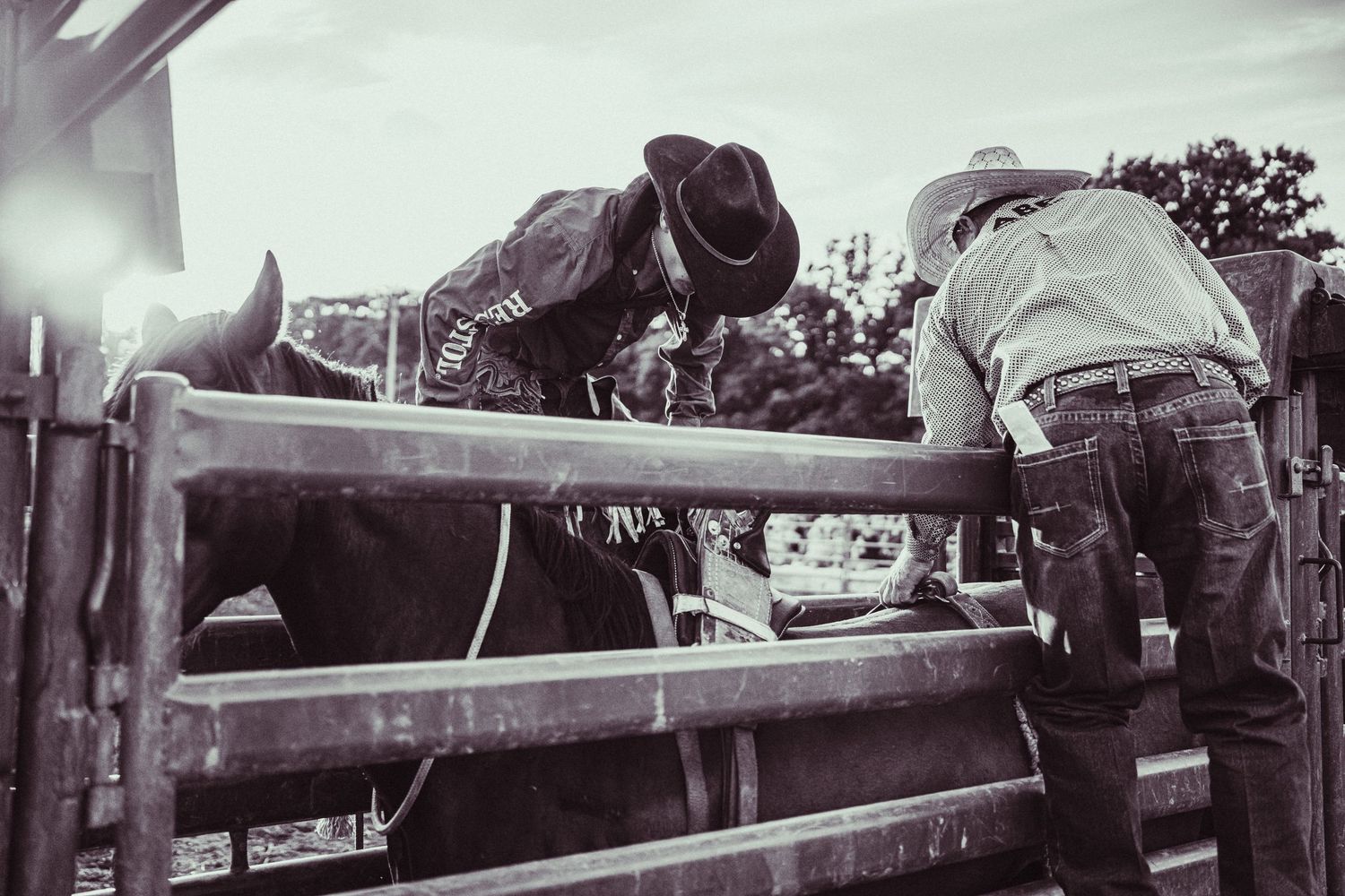 Two cowboys prepare a bull in a rodeo chute, captured in black and white photography.