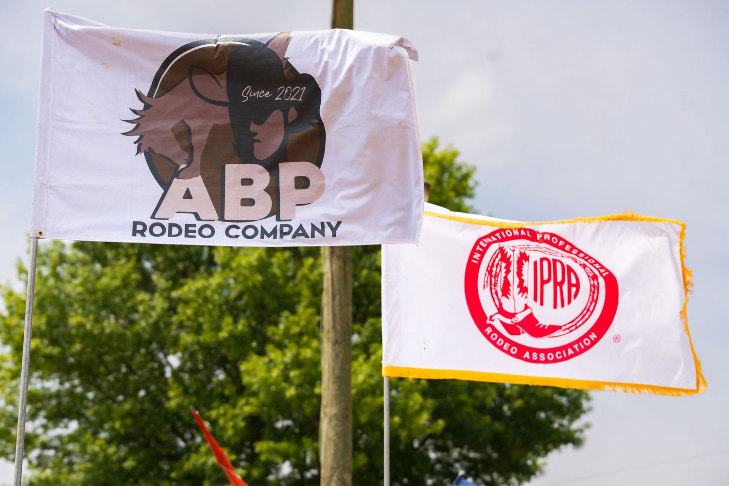 ABP Rodeo Company and CIPRB association flags flying outdoors at a rodeo event on a sunny day.