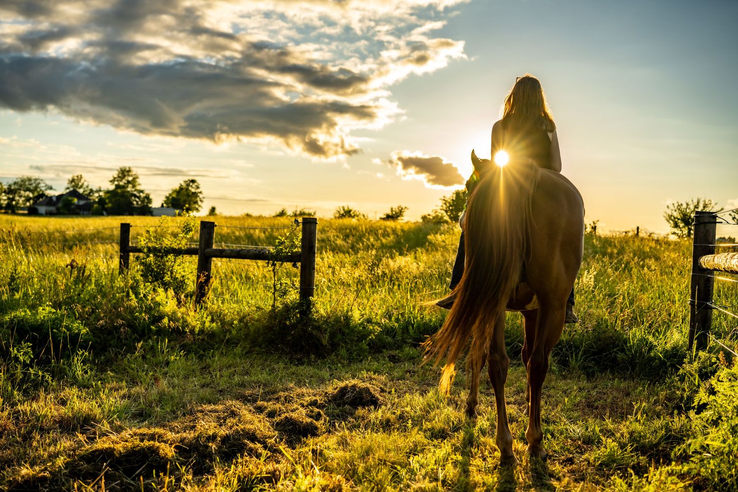 A silhouette of a rider on horseback facing a golden sunset over a lush green field with a wooden fence.
