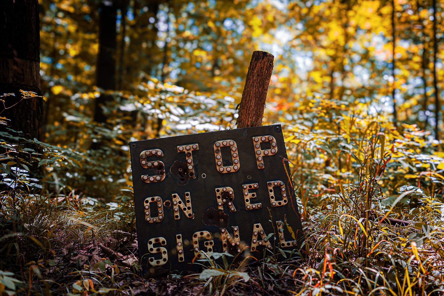 Weathered black sign reading Stop On Red Signal stands in colorful autumn forest foliage.