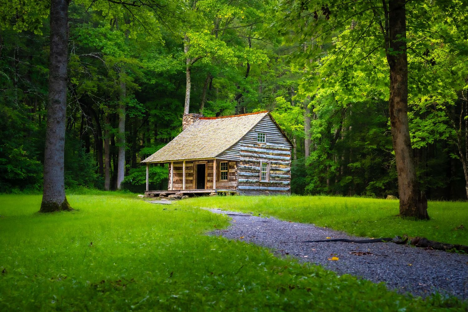 Historic log cabin nestled in a lush green forest clearing with a gravel path in Cades Cove.